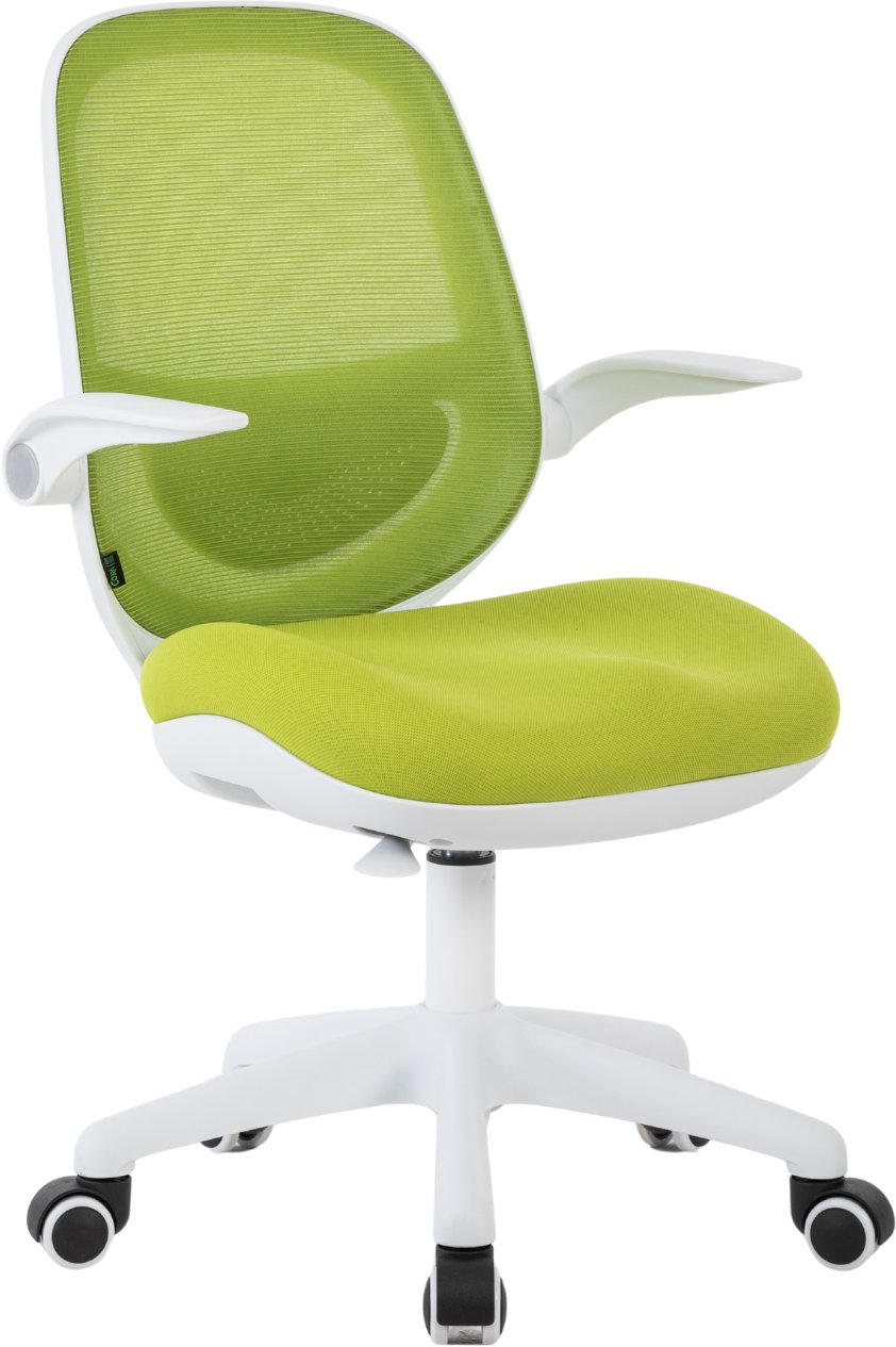 Krzesło biurowe AQ King Junior Biało-zielone