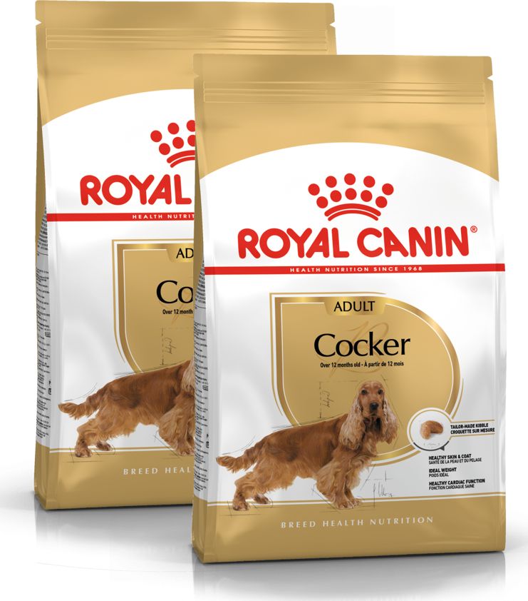 Royal Canin ROYAL CANIN Cocker Spaniel Adult 2x12kg karma sucha dla psów dorosłych rasy cocker spaniel