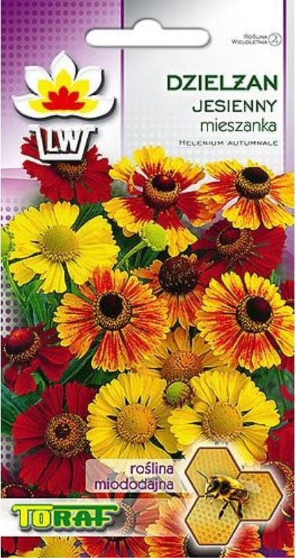 Toraf TORAF KWIATY Dzielżan jesienny nasiona 0,1g