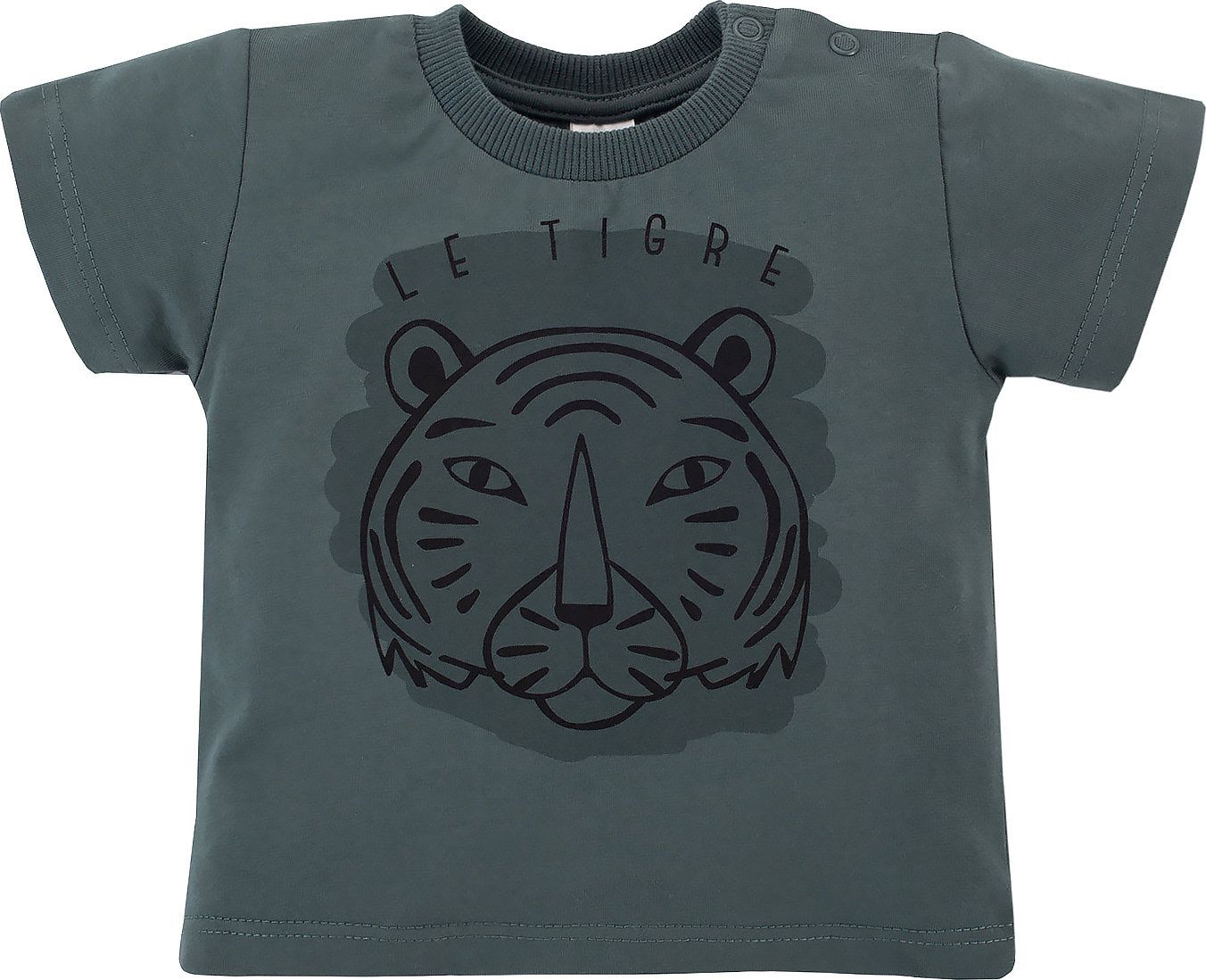 PINOKIO Koszulka t-shirt dla chłopca Le Tigre Pinokio 74