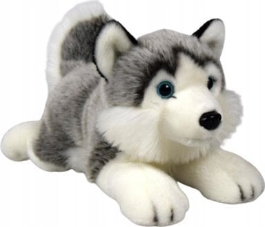 Pies Husky 27cm 31969
