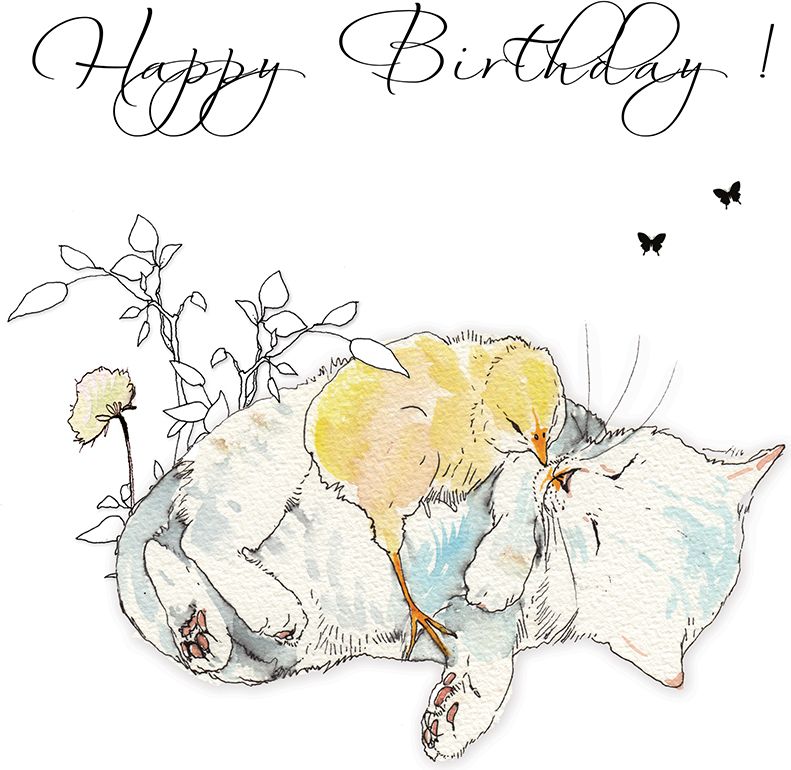 Clear Creation Karnet Swarovski kwadrat Urodziny kot i pisklę