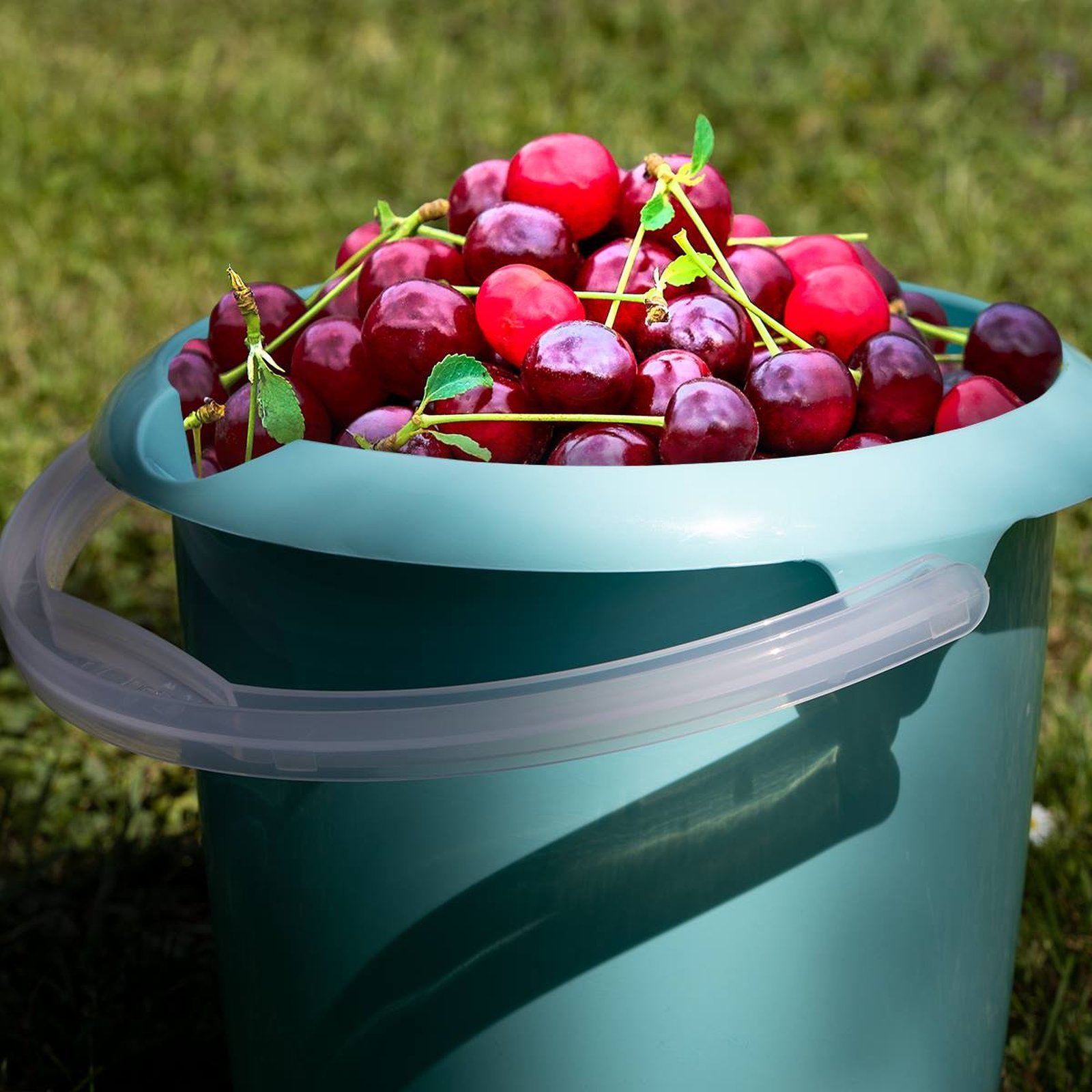 Mop Keeeper Keeeper Wiadro Z Wylewką Mika 10l Nordic Blue 1171...