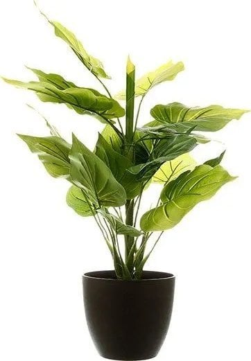 Atmosphera Sztuczna roślina ozdobna, 45 cm, naturalna w dotyku, czarna doniczka