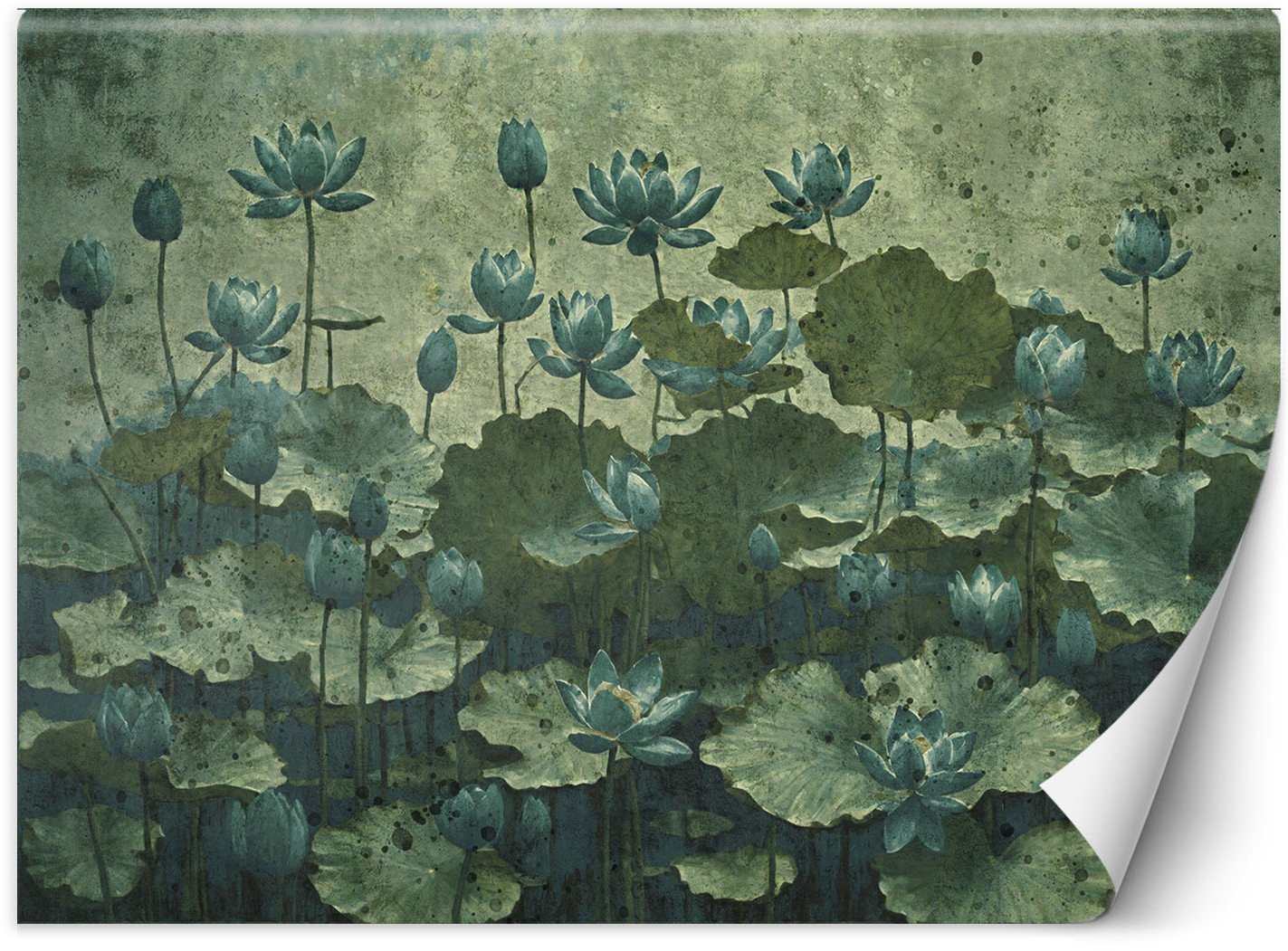 Feeby Fototapeta Kwitnące zielone lilie wodne 350x245 large