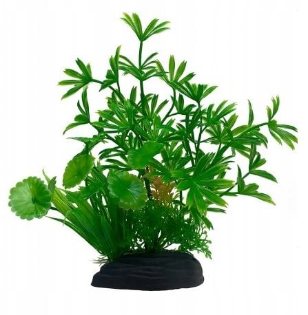 Terra Natura Aqua Natura, roślina, do dekoracji akwarium, zielona, plastikowa, 20 cm, paprotka i młode pędy