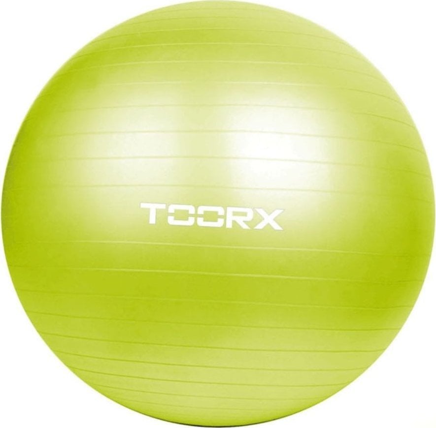 Toorx Gimnast. kamuolys 65cm TOORX AHF-012 su pompa