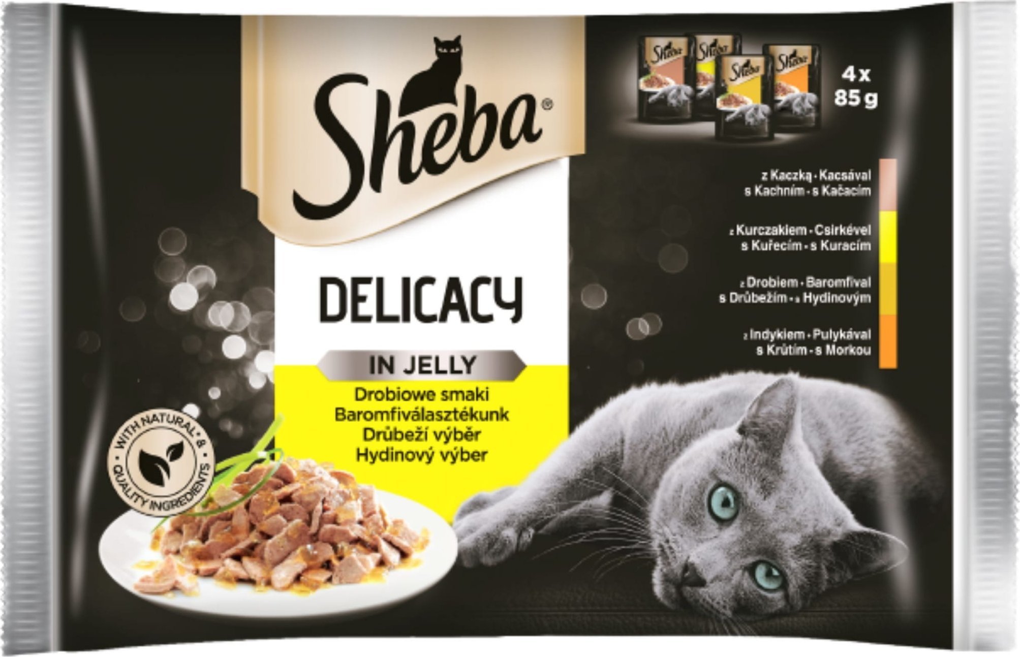 Sheba DELICATO Z DROBIEM W GALARECIE 4x85G