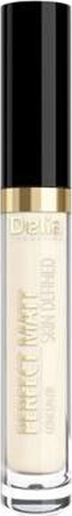 Delia Skin Defined Perfect Matt korektor 3g Ivory (02)