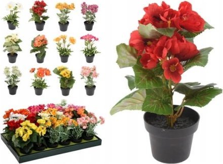 Koopman Sztuczne kwiaty ozdobne w doniczce 22x11x11 cm