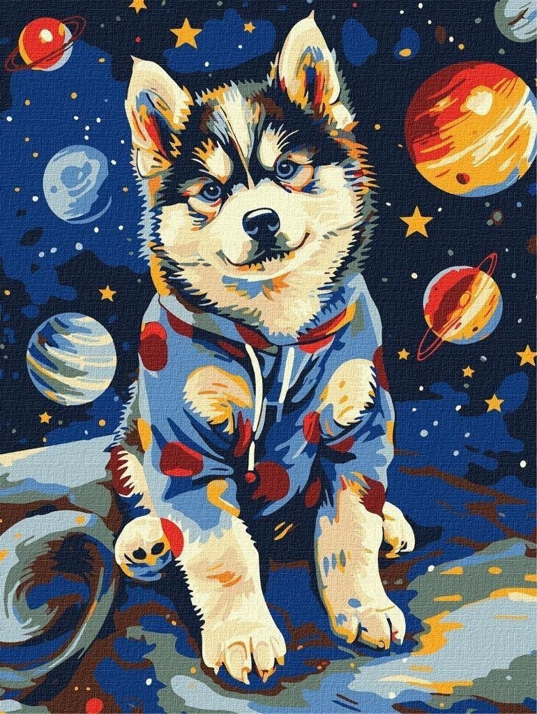 Malowanie po numerach - Kosmiczny husky 30x40cm