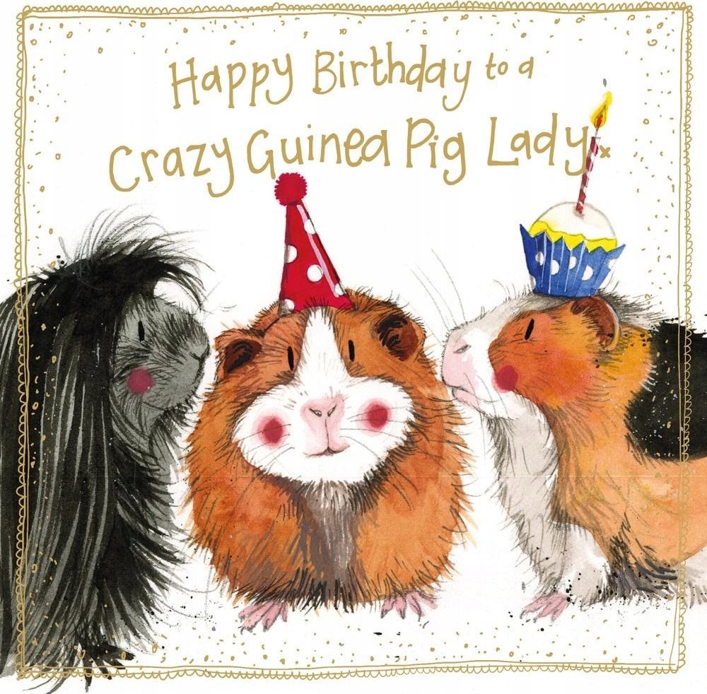 Teka Karnet Urodziny S563 Szalone ¶winki morskie