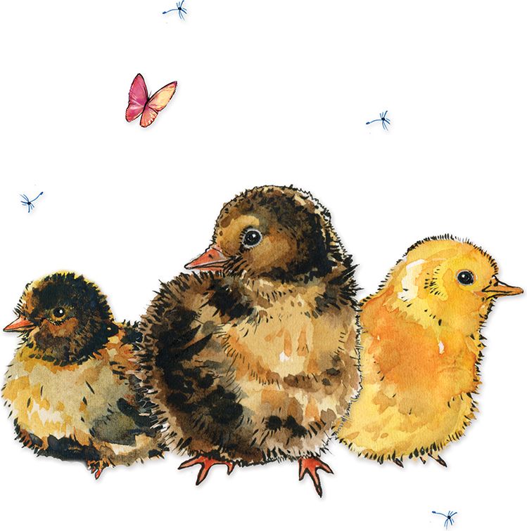 Clear Creation Karnet Swarovski kwadrat Pisklęta (CL1228)