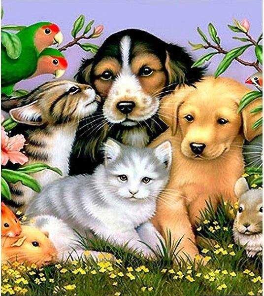 Norimpex Mozaika diamentowa 5D - Zwierzęta 40x30cm