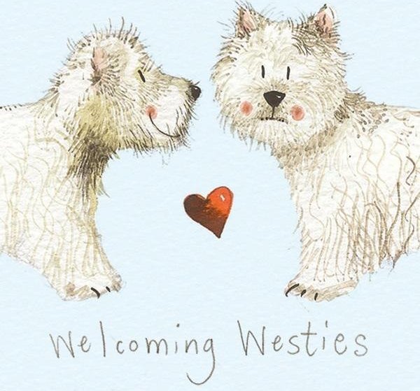 Magnes FM10 West Highland white terrier