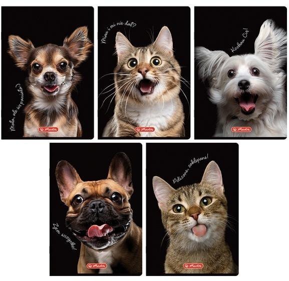 Herlitz Zeszyt A5/80K kratka z marginesem Animal (5szt)