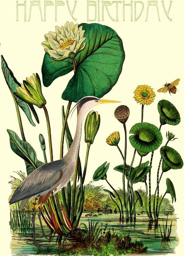 Madame Treacle Karnet B6 z kopertą Urodziny Czapla