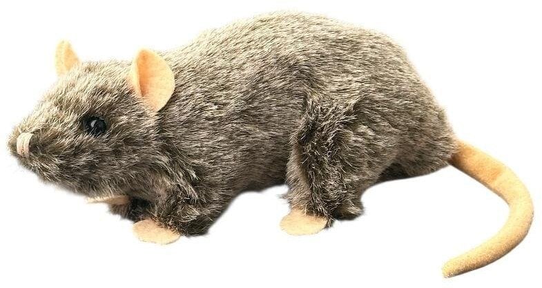 Szczur 20cm