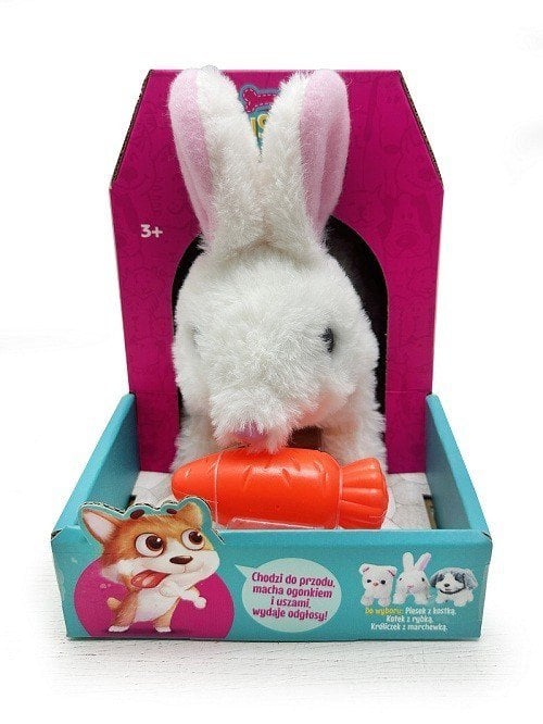 Królik chodzšcy z marchewkš