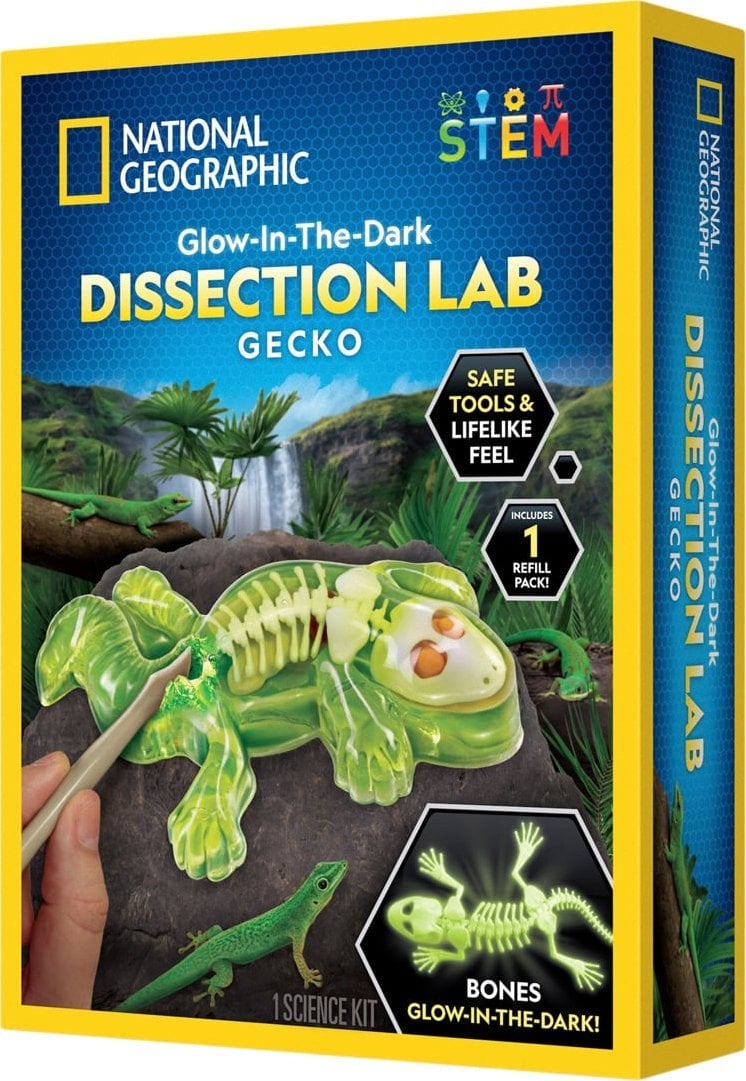 National Geographic National Geographic Gecko Dissection Lab