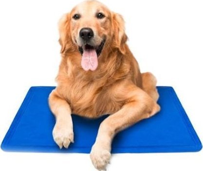 AIO FACTORY Żelowa mata chłodząca dla psa kota 70x110