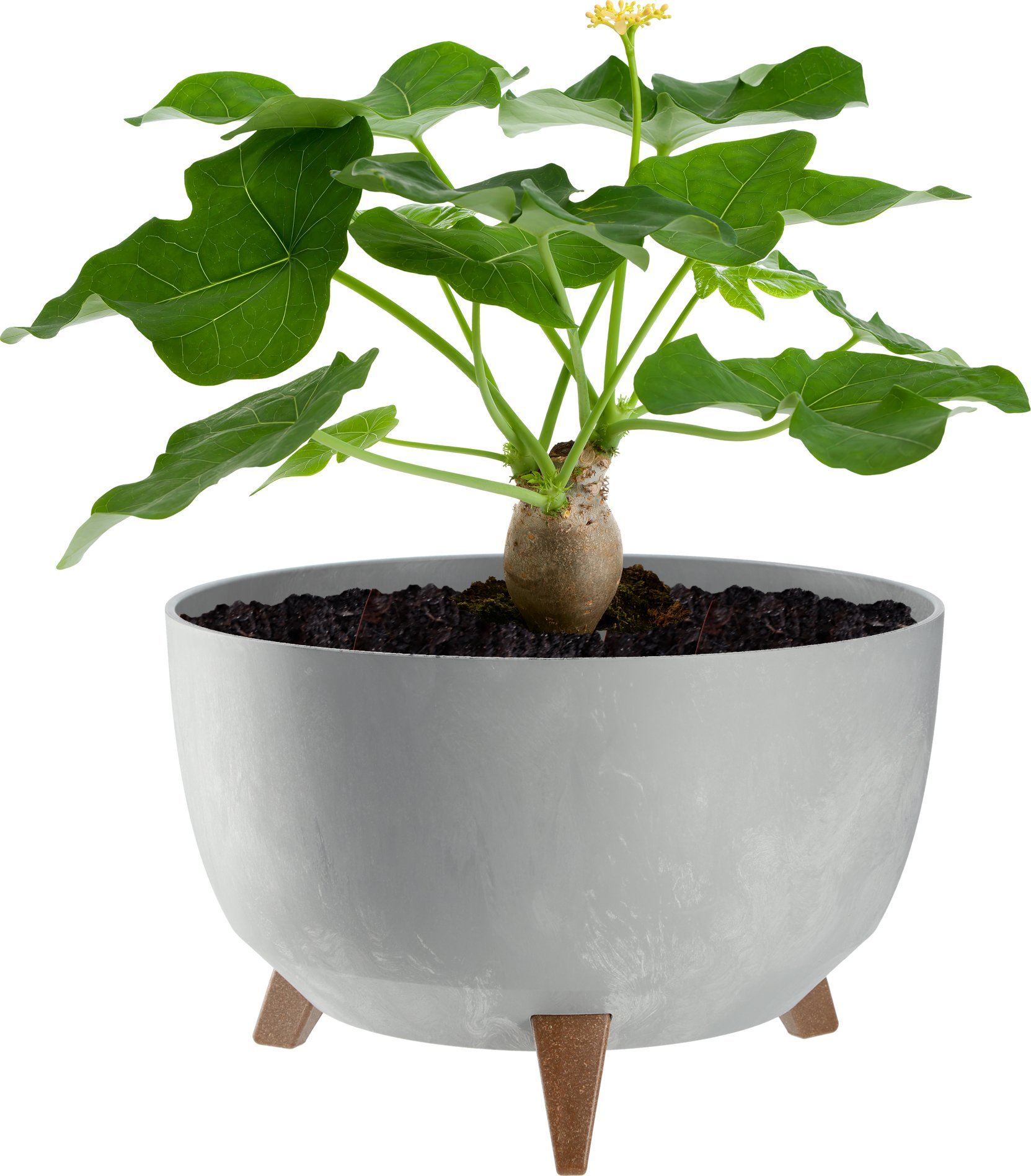 KADAX Doniczka Donica Na Kwiaty 33cm Osłonka + Wkład Nóżki Korek Kwietnik szary