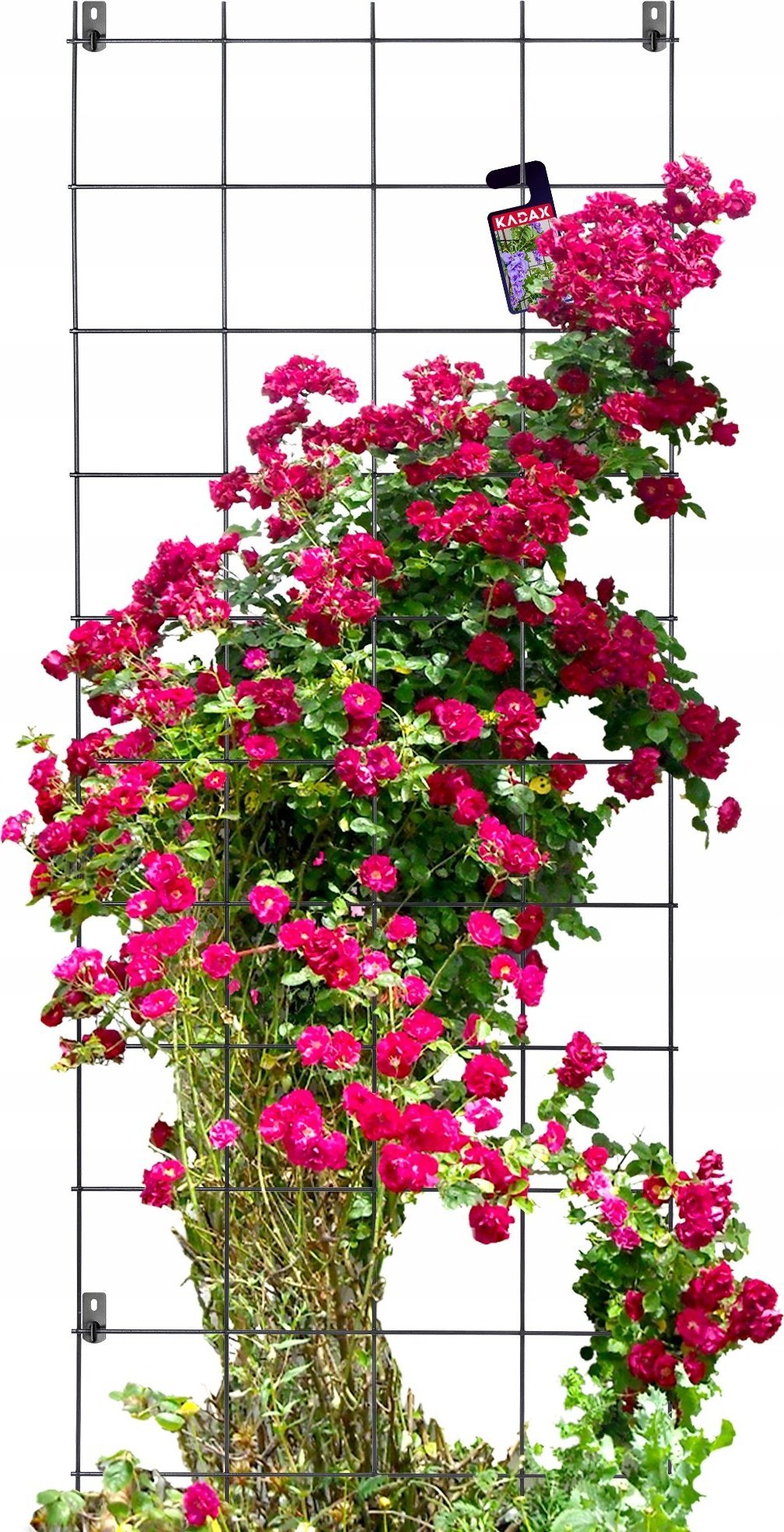Kadax Drabinka Krata Ogrodowa Do Kwiatów Metalowa 65x170