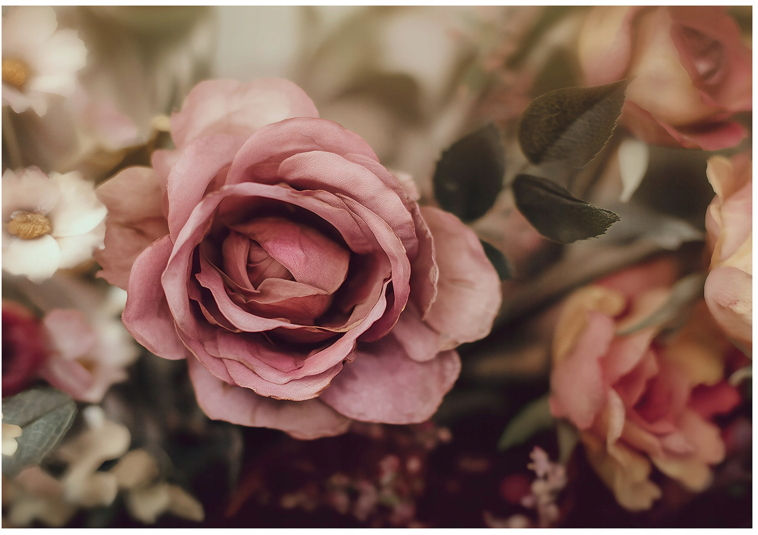 Fototapeta Na Flizelinie Kwiaty Róże Do Sypialni Salonu 300x210