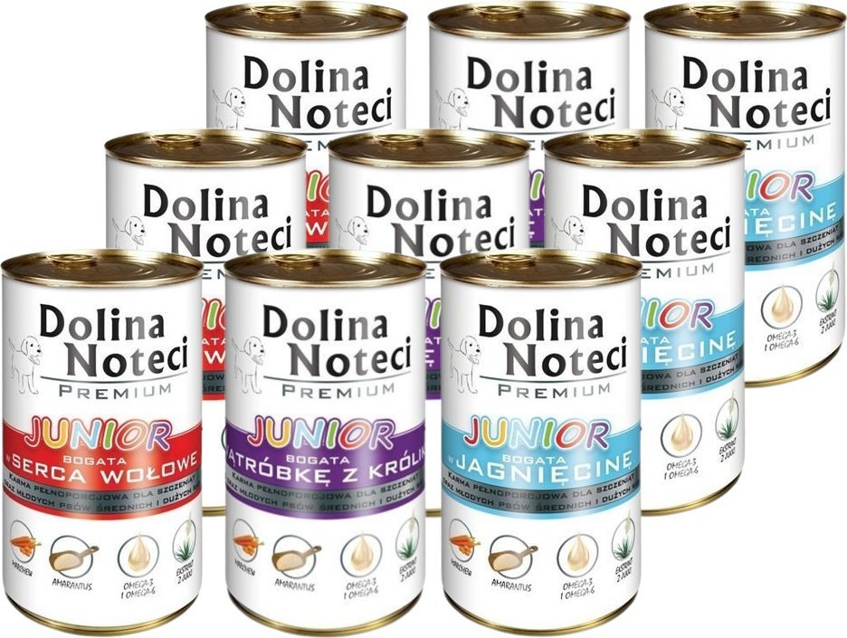 Dolina Noteci Premium Junior Mix smaków 24x400g