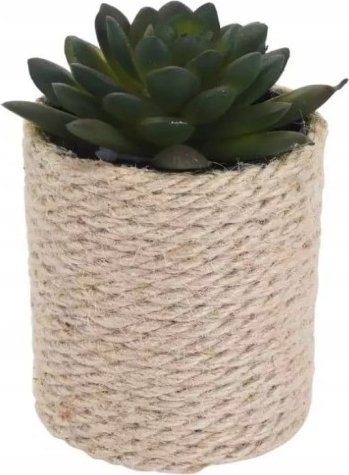 Koopman Roślina dekoracyjna sztuczna w donicy 8x14 cm