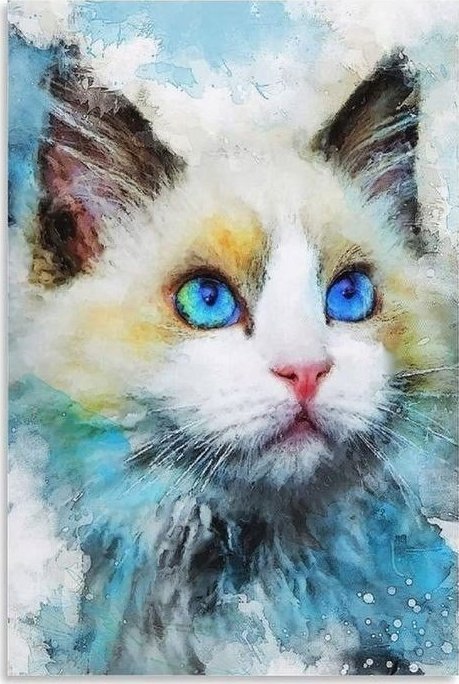 Norimpex *****Diamentowa mozaika Kot 1007440***