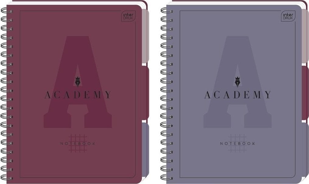 Teka Kołozeszyt A4/100K kratka Academy (5szt)