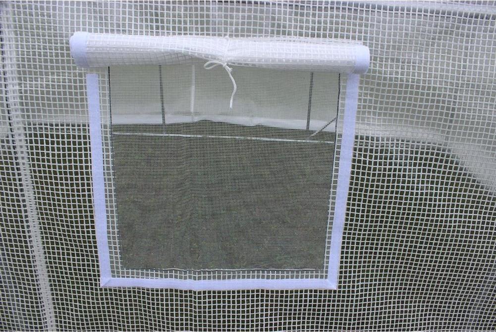 Saska Garden Szklarnia 300 cm x 200 cm x 200 cm (1039954)