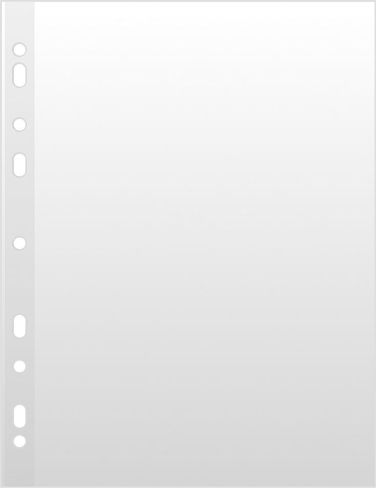 Donau Koszulki na dokumenty krystaliczne A5 50mic. 100szt. (1752100PL-00)