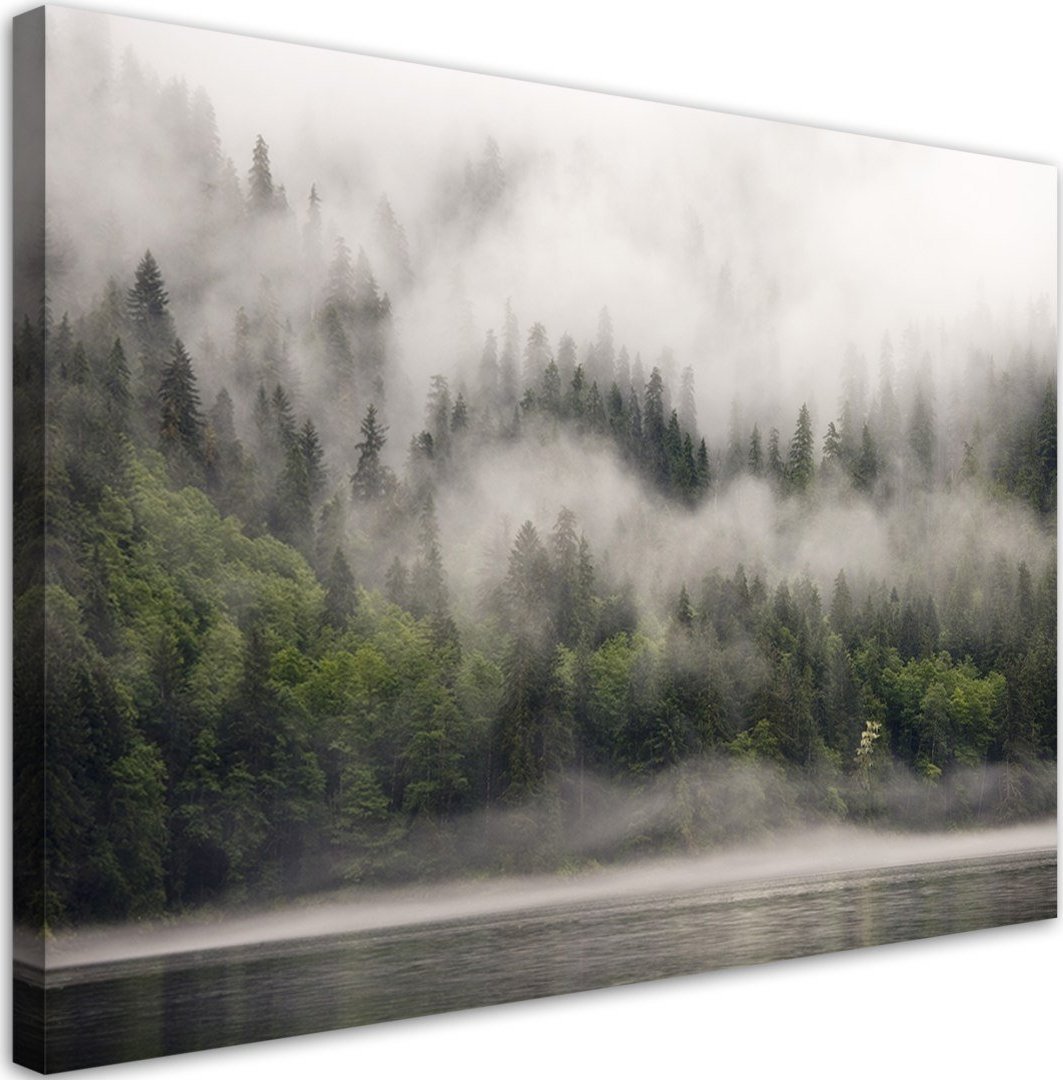 Feeby Obraz na płótnie, Las we mgle - 120x80