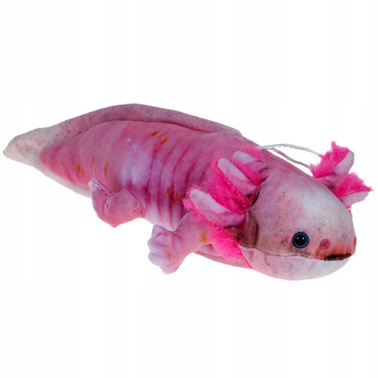 Axolotl 38cm