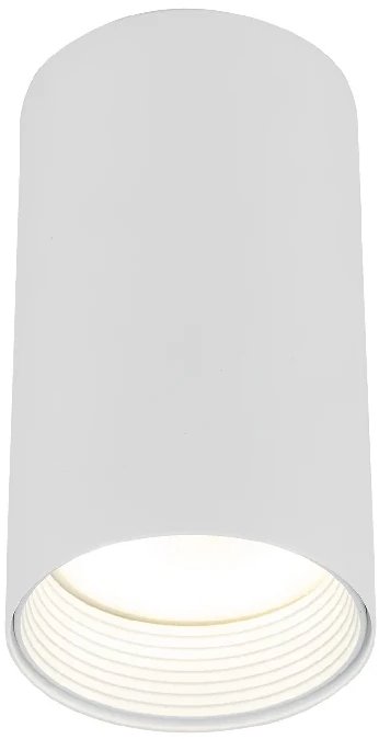 Sufitowa lampka punktowa Amis 10719 tubka do salonu złoty biały