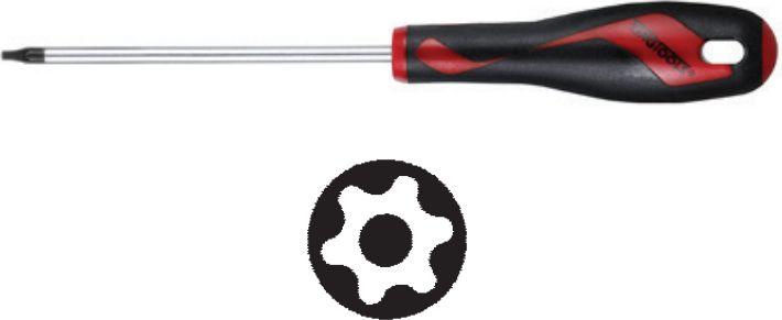 Teng Tools Wkrętak typu TPX z otworem T20 x 100mm (177800307)