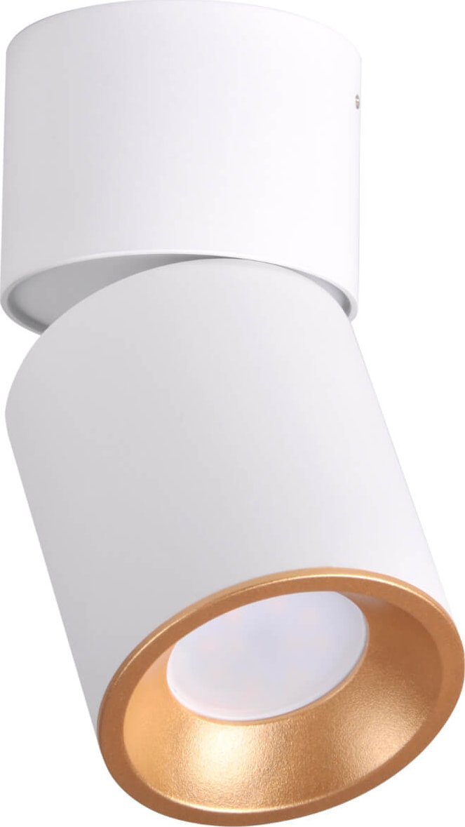 Lampa sufitowa Polux Regulowana lampa sufitowa Nixa downlight tuba biała złota