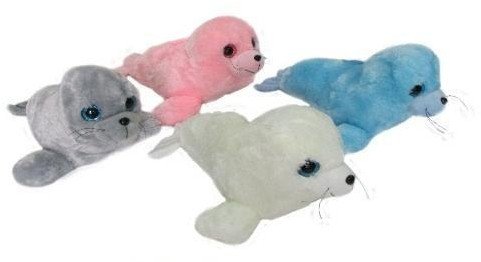 Sun-Day Foka F-101 4kol głos 138156