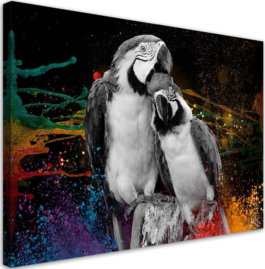 Feeby Obraz na płótnie, Kolorowe papugi abstrakcja - 120x80