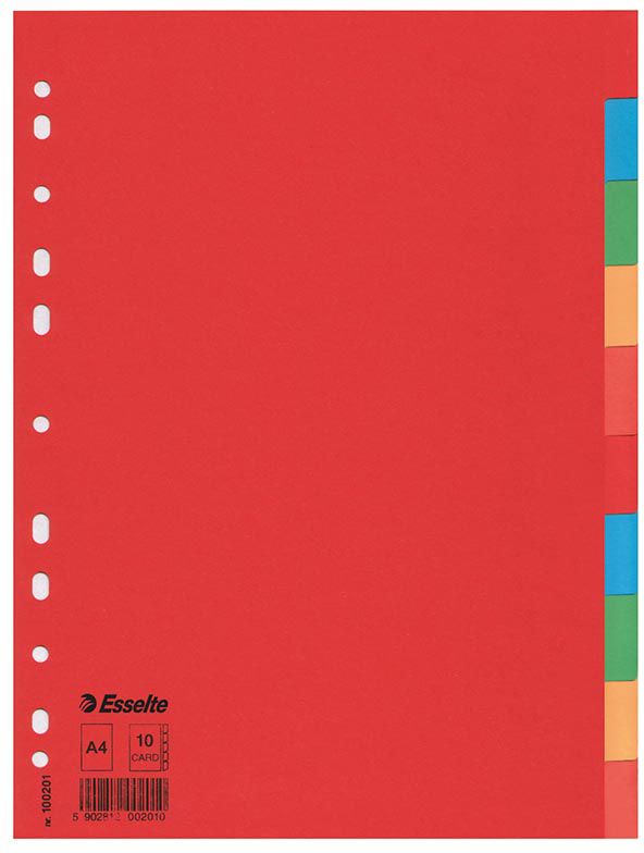 Esselte Przekładki kartonowe A4 10szt. (100201)