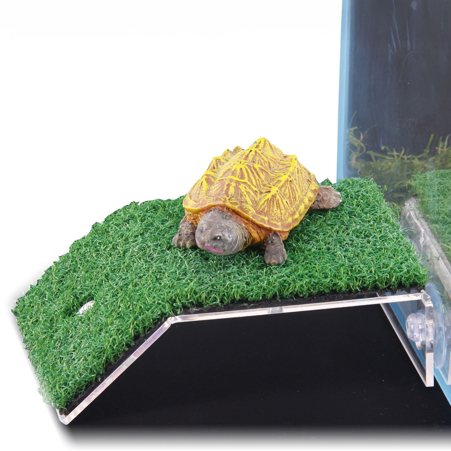 Duvo+ Terra Natura, platforma, wspinaczka dla żółwia, przezroczysta, akryl+PE, 20 x 21 cm