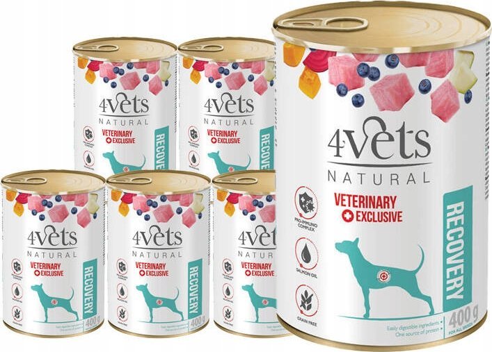 Mokra karma weterynaryjna dla psa rekonwalescenta 4Vets Natural Recovery zestaw 6 x 400 g