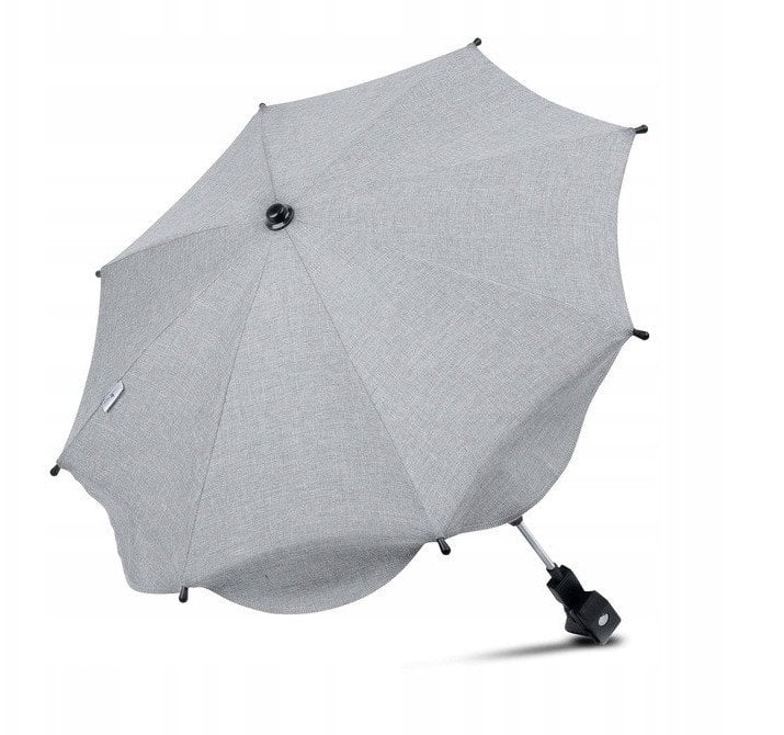 2 PARASOLKA TATRZAŃSKA MGŁA