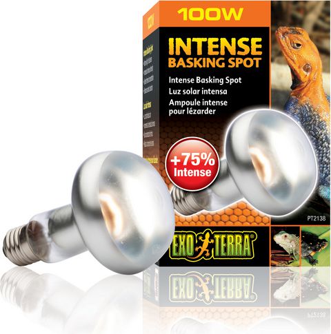 Hagen EXOTERRA ŻARÓWKA INTENSE SPOT 100W