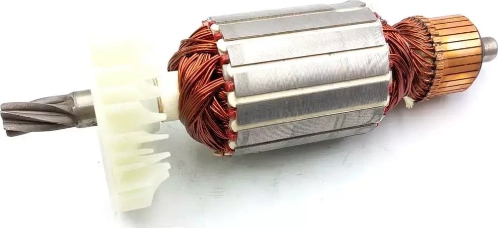 Dedra Wirnik (6 zębów)