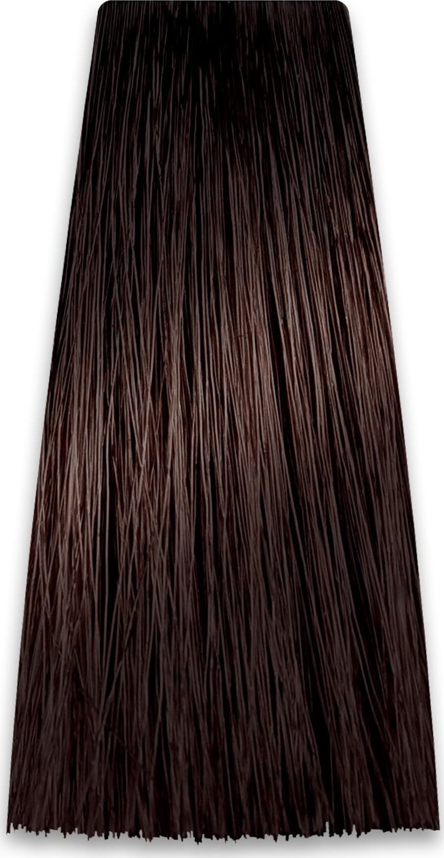 Chantal CHANTAL Intensis Color Art Farba do włosów 6/B1 100 g