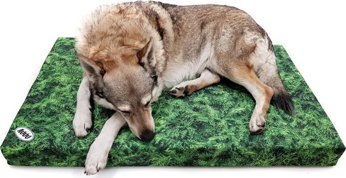 AUUU Legowisko dla Psa