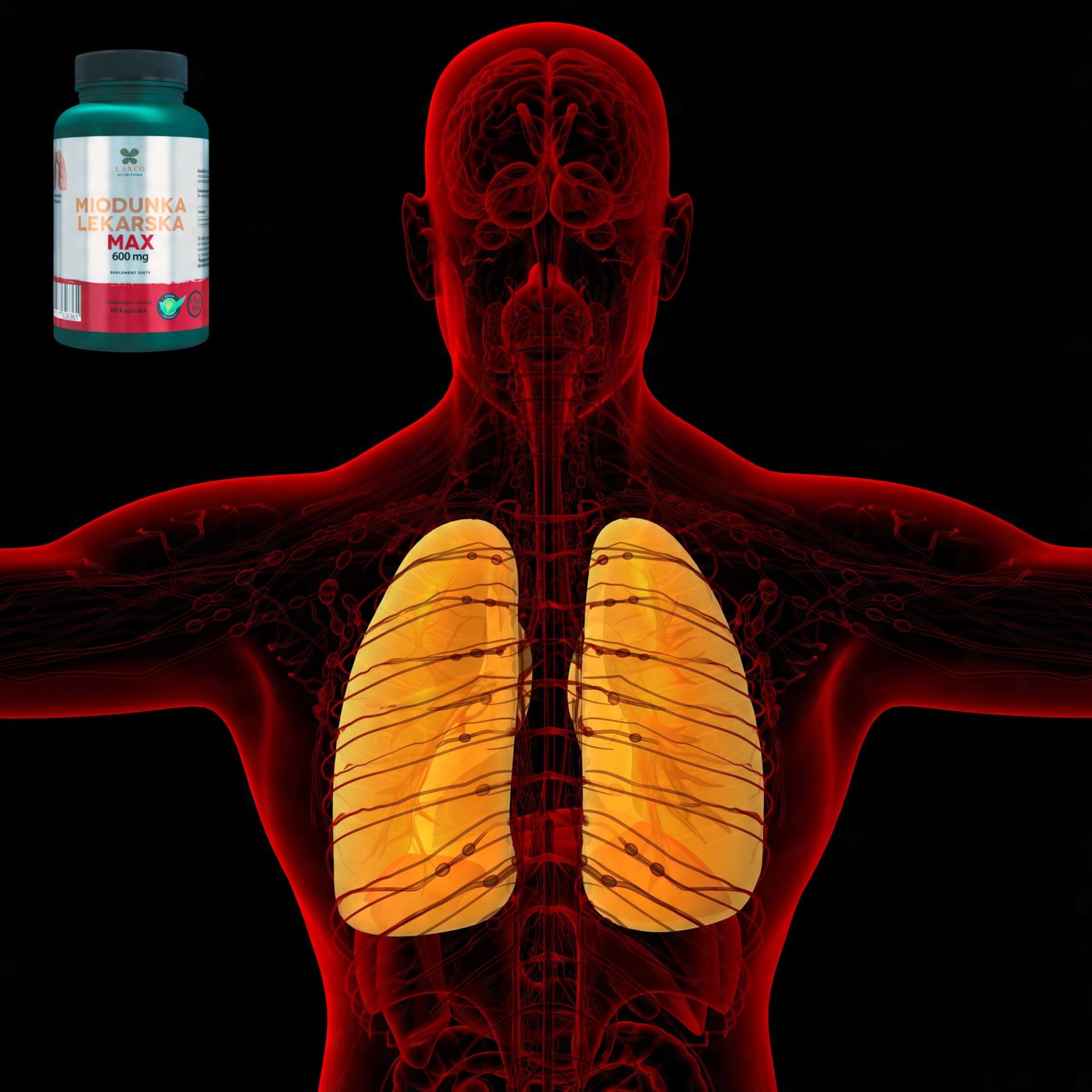 Lanco Miodunka Lekarska Max 60 kapsułek one size